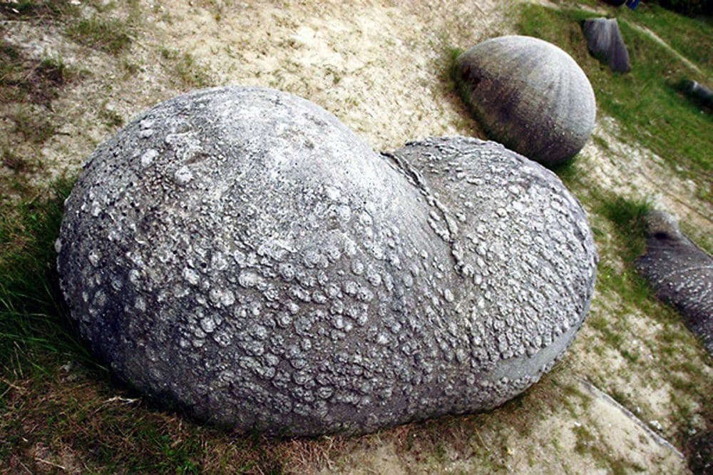 Интересные факты о тровантах - живых камнях, которые растут и делятся